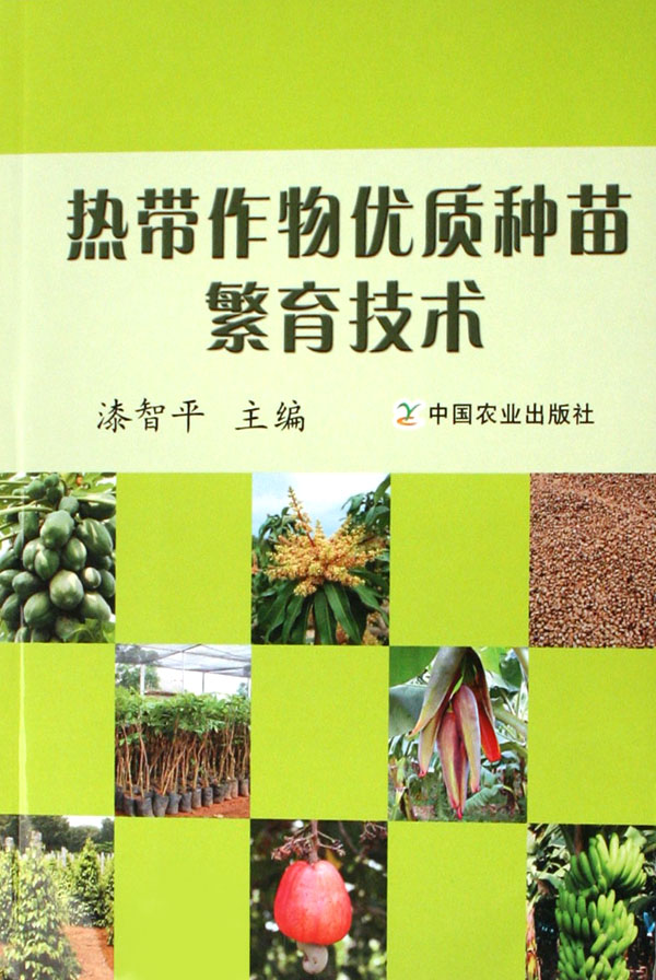 ȴ緱