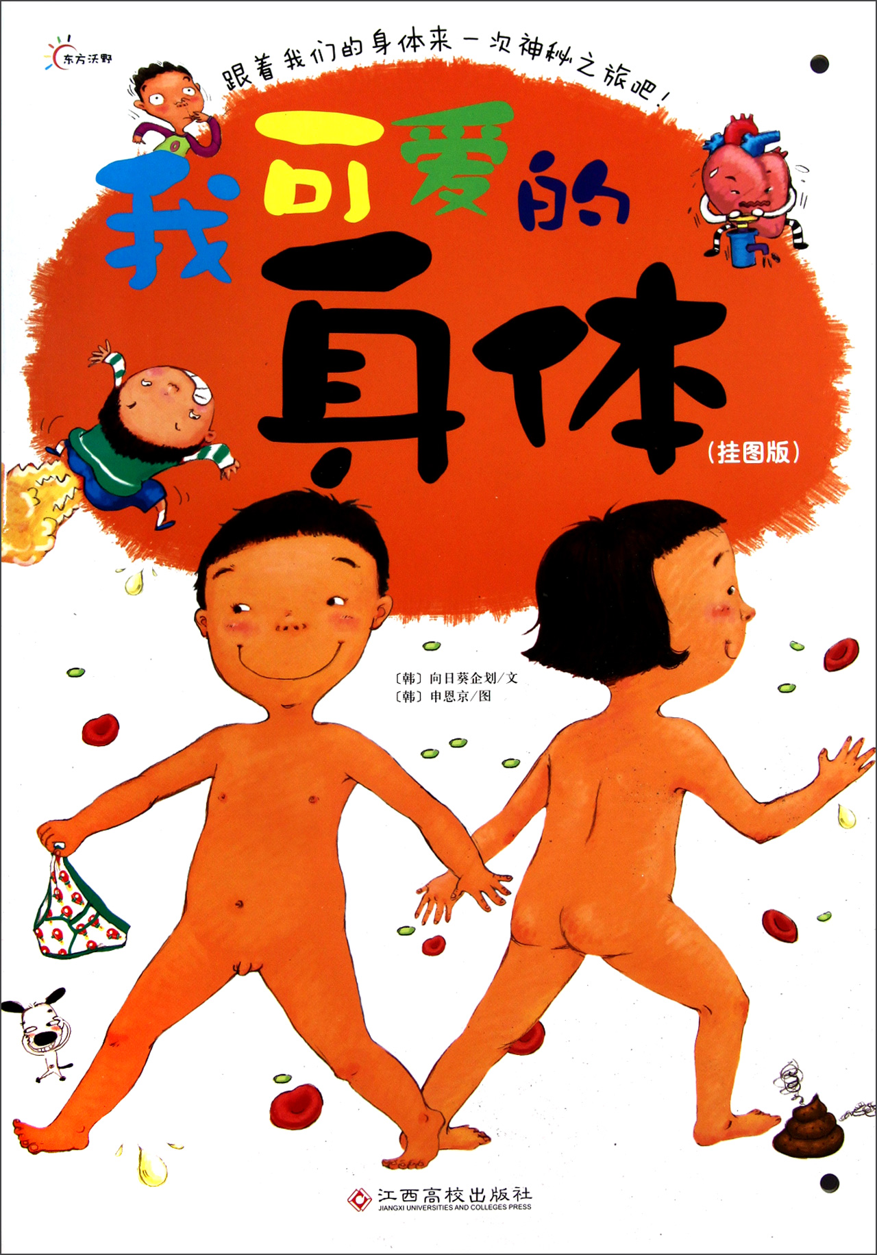 我可爱的身体(挂图版)-博库网