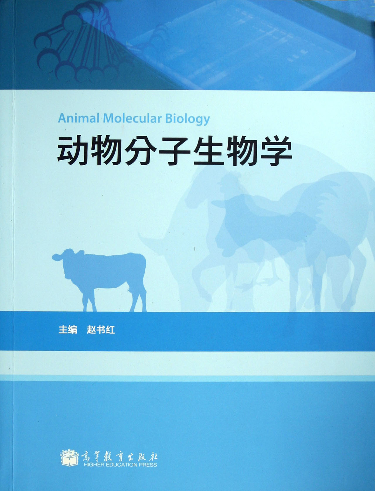 什么是分子生物学 97870402962041934061-fm.jpg