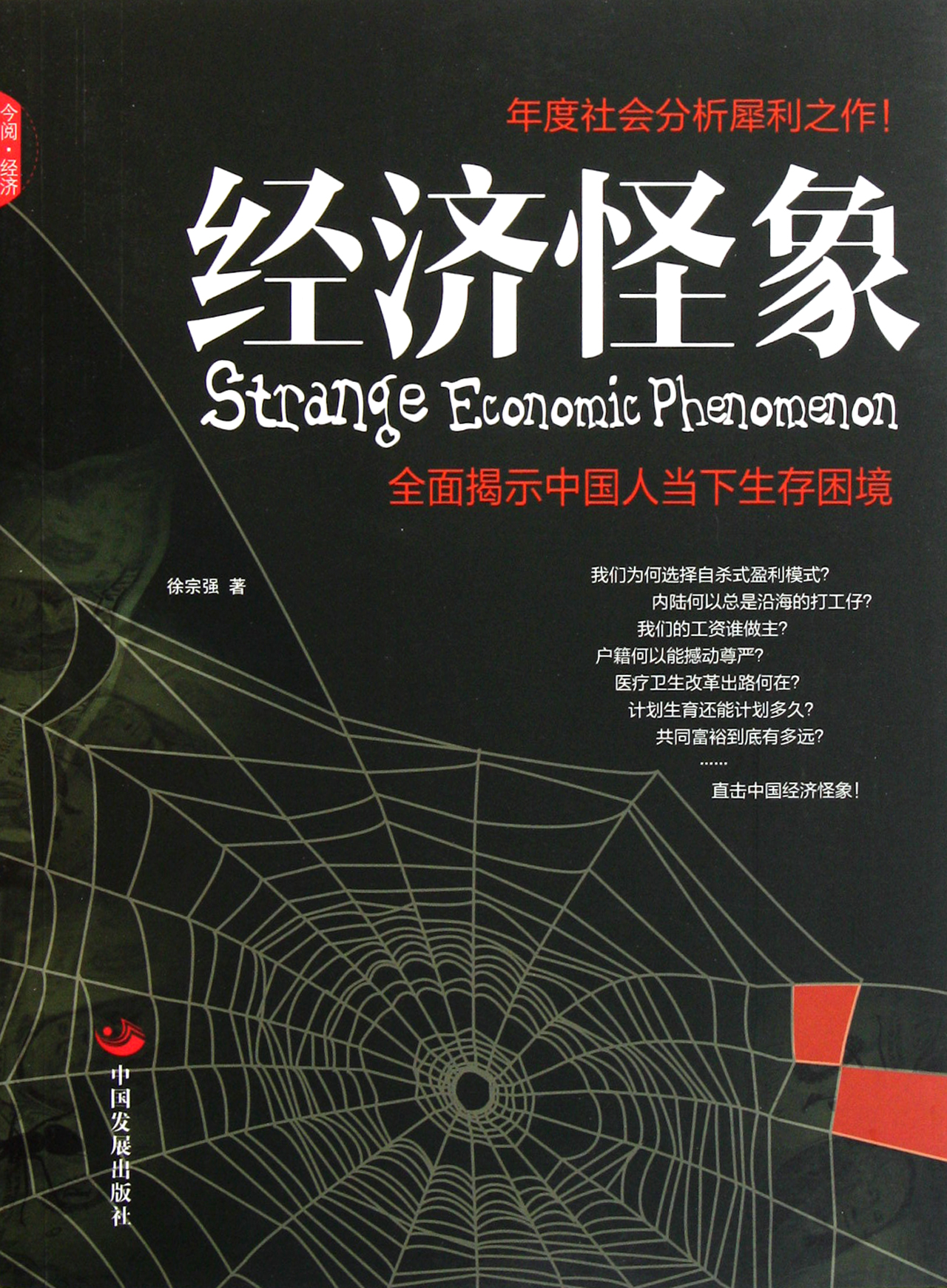 经济怪象(全面揭示中国人当下生存困境)