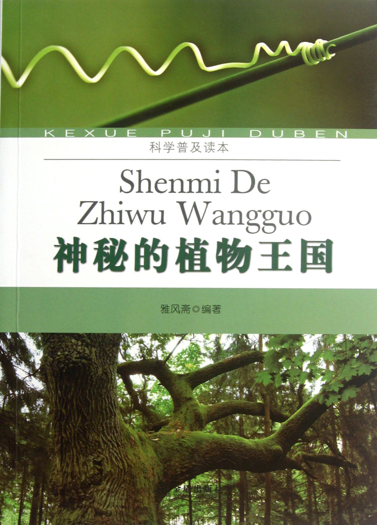 神秘的植物王国图片