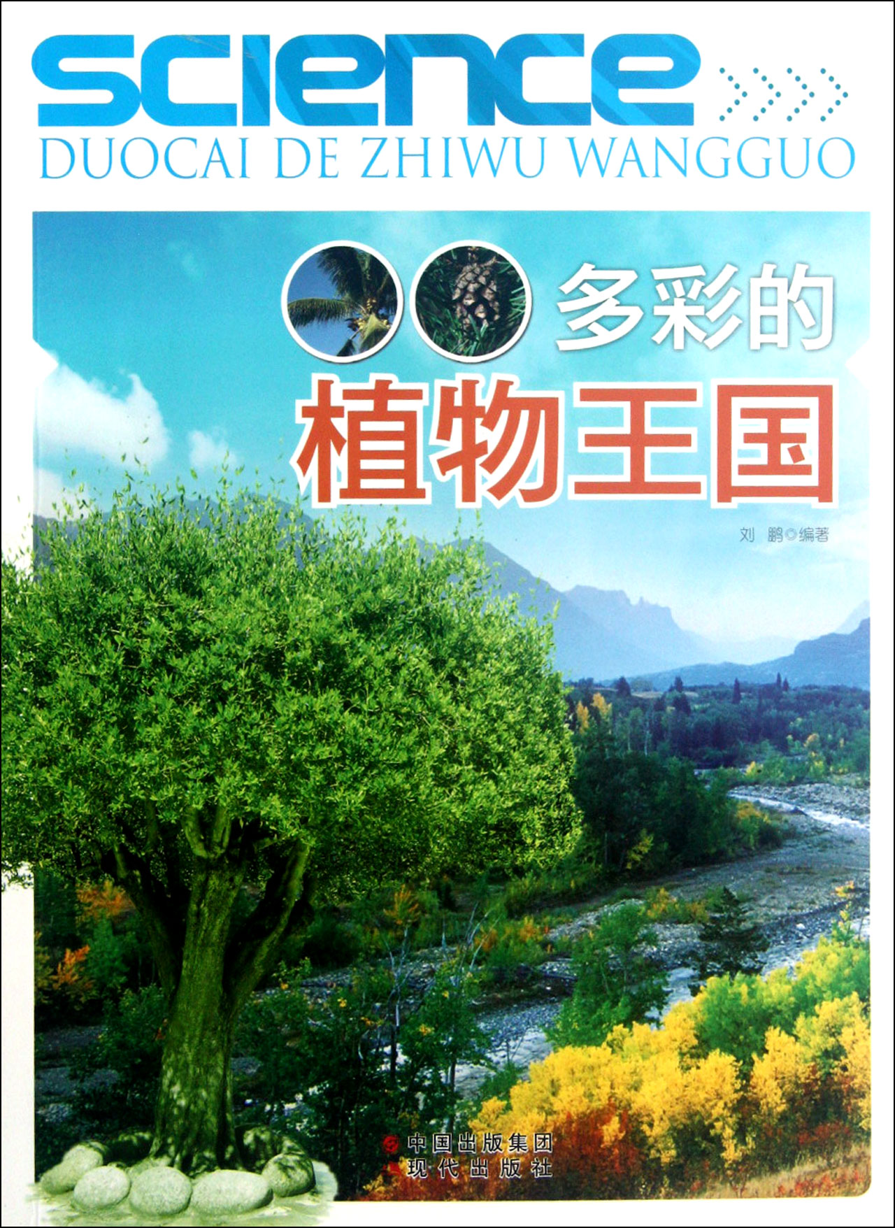 多彩的植物王国图片