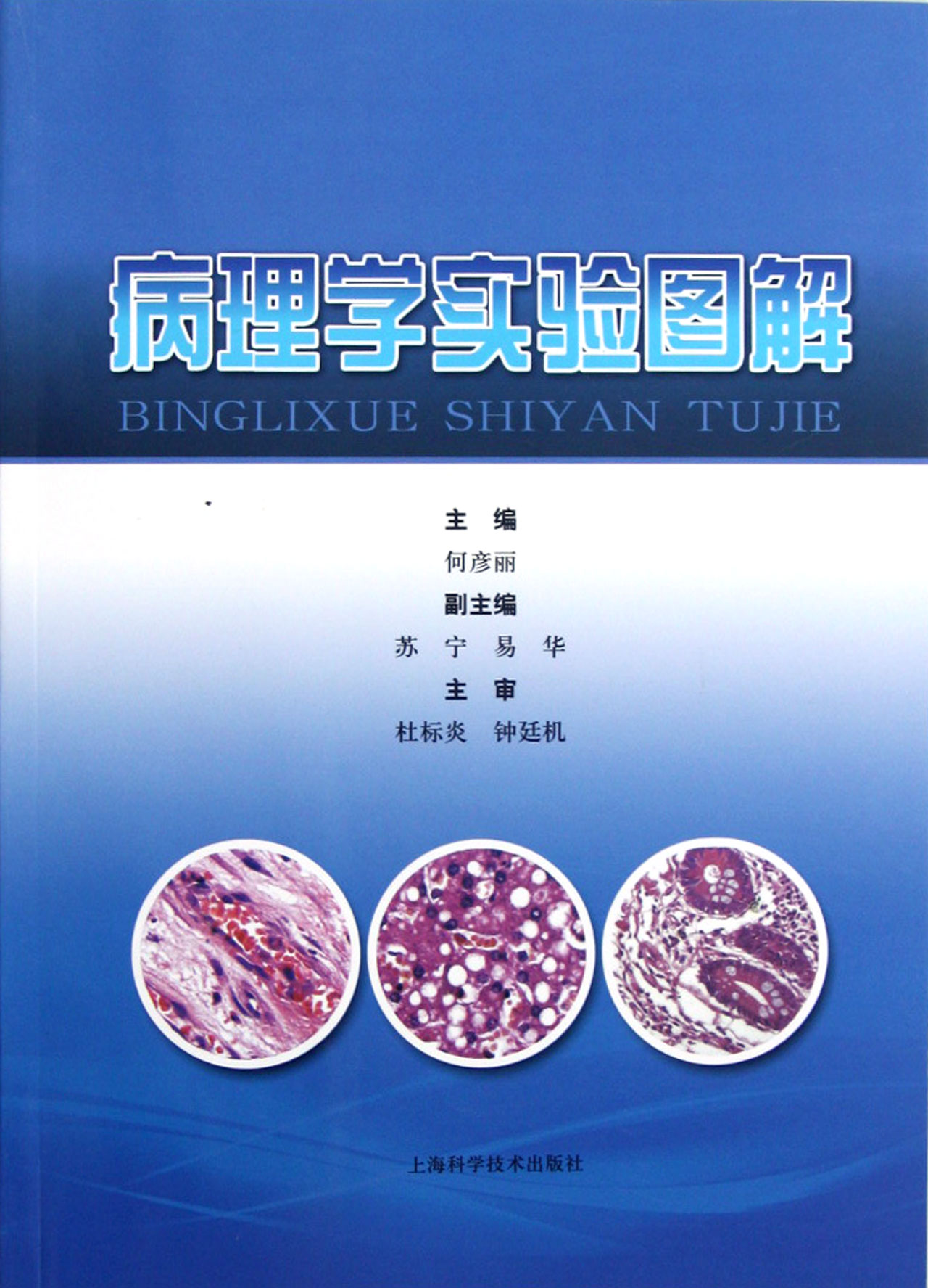 病理学实验图解