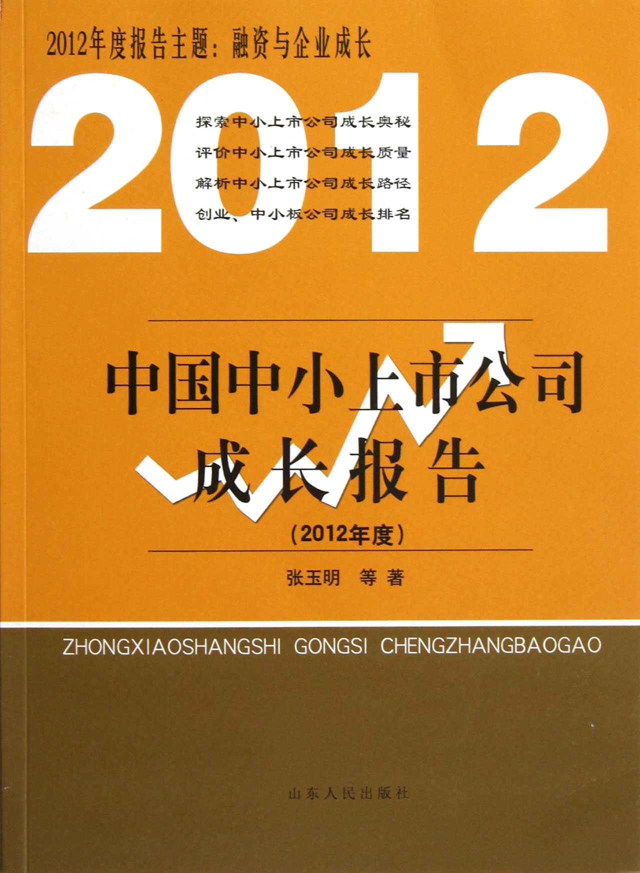 中国中小上市公司成长报告2012年度