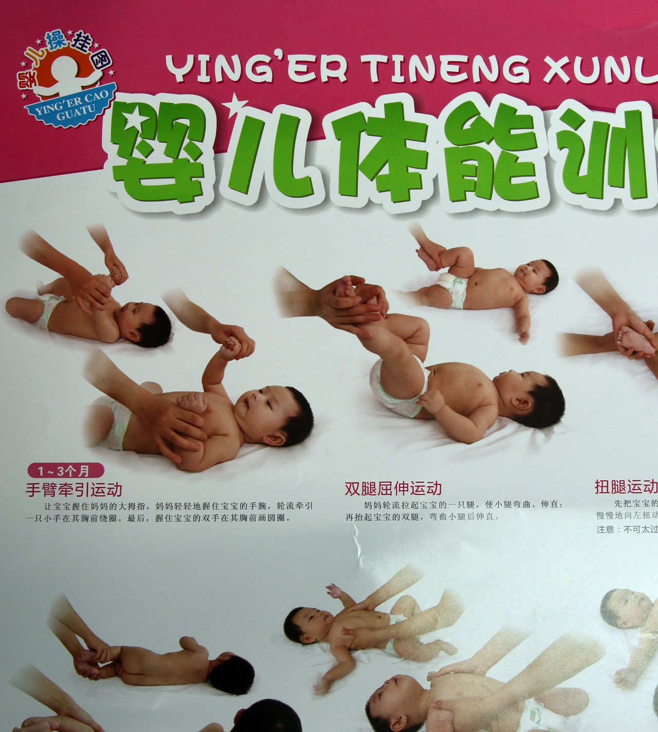 婴儿体能训练操-婴儿操挂图 ∥连益-图书杂志-
