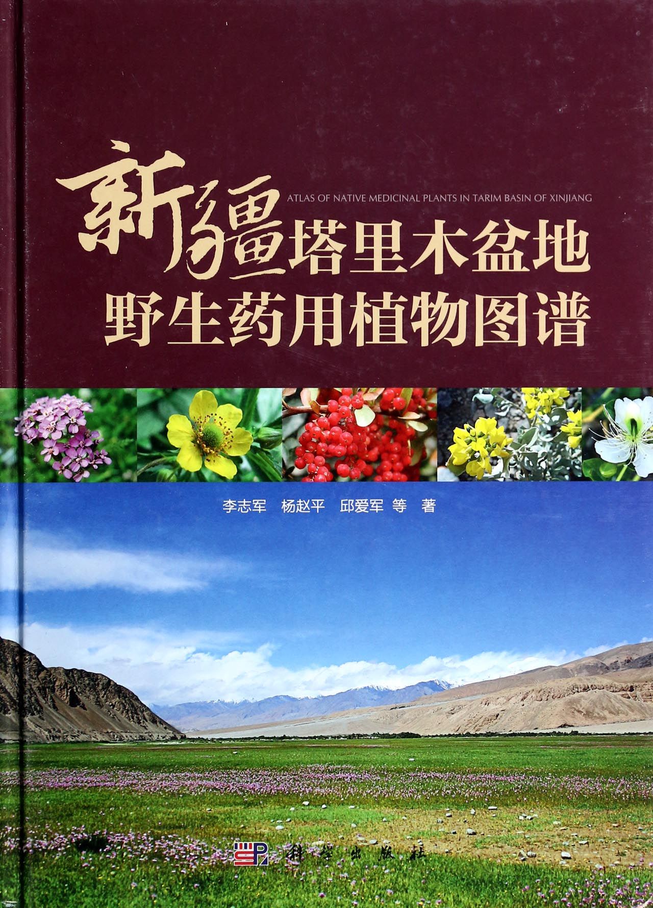 《新疆塔里木盆地野生药用植物图谱(精)》是李 志军、杨赵平、邱爱军等人在近10年来对塔里木盆地 野生植物资源进行调查、采集、鉴定和整理的基础上 结合*新研究进展撰写而成的。全书共收录了在新疆 塔里木盆地有分布的野生药用植物59科347种,其中 包括南疆特有分布种5种、南疆新纪录种32种和南疆 珍稀濒危物种18种等。这些野生药用植物既有新疆地 产大宗常用中药材品种,亦有维吾尔药用常用药、哈 萨克医用药材,具有一定的代表性。本书采用图文并 茂的形式编排,通过展示440余张植物生境、全株或 主要器官的原色图片,