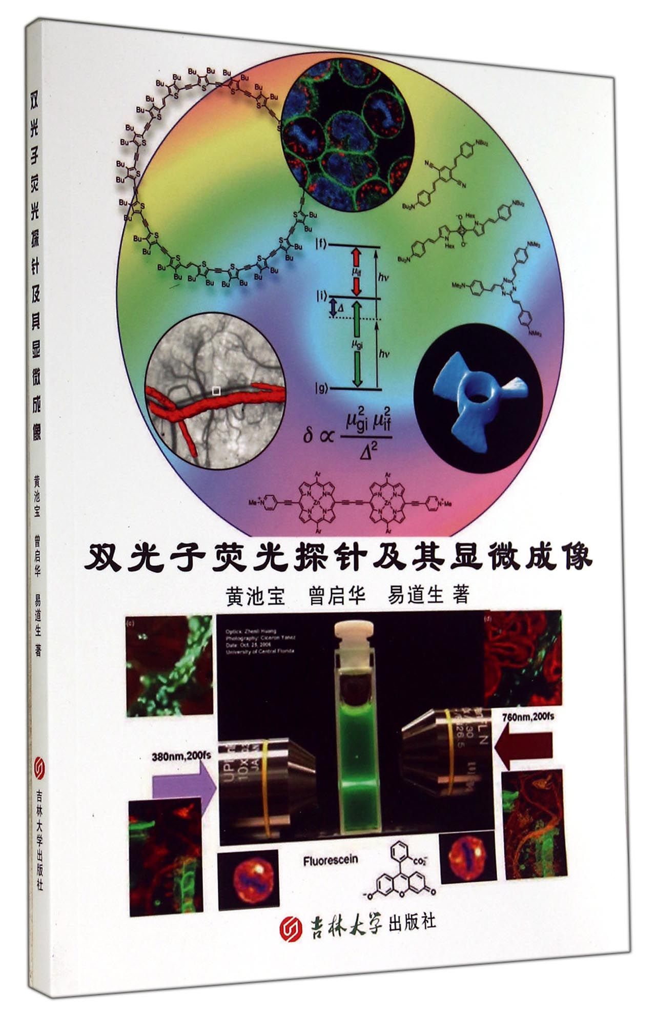 双光子荧光探针及其显微成像