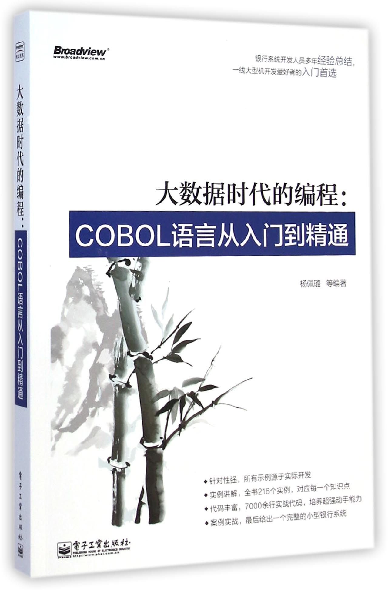 大数据时代的编程--COBOL语言从入门到精通