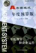 A管理模式(年度预算版)