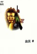 复仇的火花/都市智侠系列