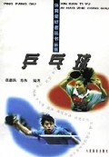 乒乓球/体育爱好者丛书
