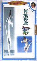 何地再逢君/廖辉英都市女性小说系列