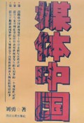 媒体中国