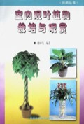 室内观叶植物栽培与观赏/休闲丛书