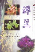 洋兰/名花巧种丛书