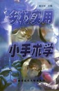 乡村实用小手术学