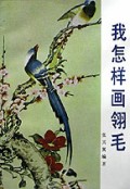 我怎样画翎毛