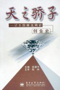 天之骄子(记全国精选网站创业史)