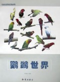 鹦鹉世界/鸟类世界系列丛书