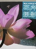 花卉摄影/摄影与观察系列