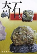 奇石大观
