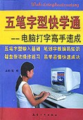 五笔字型快学通(电脑打字高手速成)
