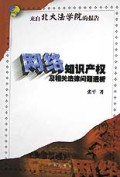 网络知识产权及相关法律问题透析/来自北大法学院的报告