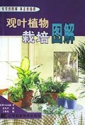 观叶植物栽培图解