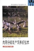 肉用仔鹅高产饲养新技术/现代畜禽生产新技术丛书