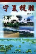 宁夏揽胜/散文小品集