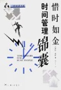 惜时如金(时间管理锦囊)/经理书架
