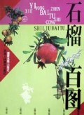 石榴百图/艺用写真百图丛书