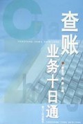 查账业务十日通