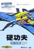 硬功夫(电脑组装DIY)/领先一步学电脑丛书