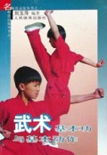 武术基本功与基本动作