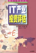 IT 产业投资评估
