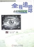 全程追踪商业网站纪实/信息时代生存秘笈系列丛书