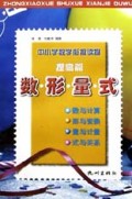 数形量式(提高篇)/中小学数学衔接读物