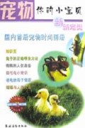 宠物你的小宝贝(新新宠类)