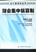 财会集中核算制/会计委派制丛书