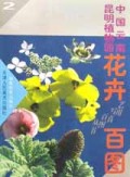 中国云南昆明植物园花卉百图(2)/艺用写真百图丛书