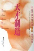 天才制造(中国家庭如何运用MEI教育法则)