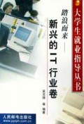 踏浪而来：新兴的IT行业卷