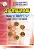 大学英语同义词闪电式辨析记忆/闪电式外语词汇记忆丛书