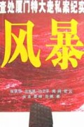 风暴(查处厦门特大走私案纪实)