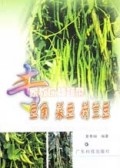 豆角菜豆荷兰豆/专家教你种蔬菜