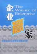 企业赢家(中国成功企业管理营销模式剖析)