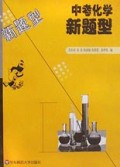 中考化学新题型/新题型