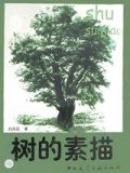 树的素描