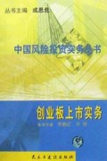 创业板上市实务